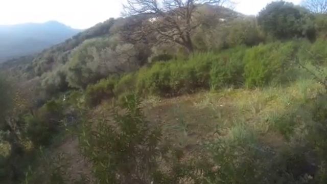 Battue à santa reparata смотреть онлайн