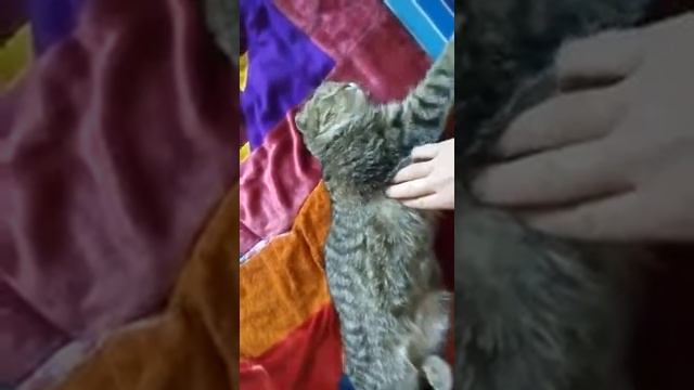 сердечно-легочная реанимация смотреть онлайн