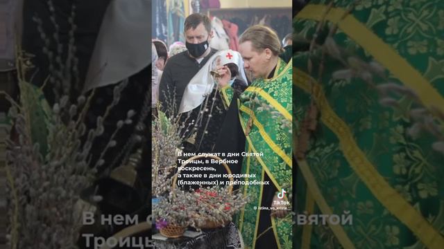 17 февраля 2024 г. Цвет облачения. смотреть онлайн