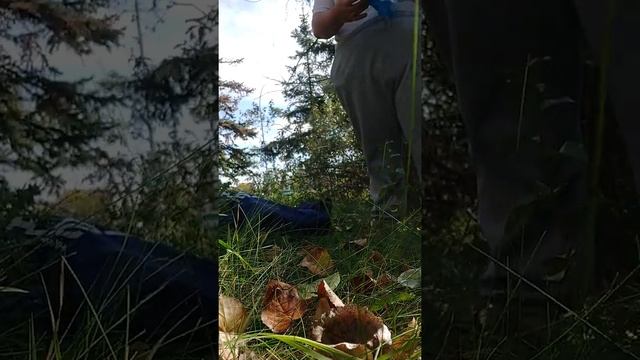 bottle empire 2022 and gurllia gardening 3 смотреть онлайн