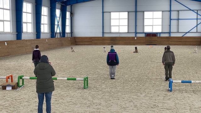 Квалификационные состязания Love is, обидиенс-1, выдержка смотреть онлайн