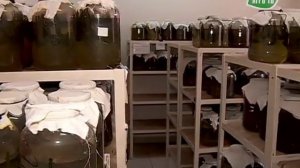 Ферма пиявок!