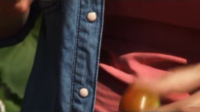 Рецепт "Помидоры в кисло сладком соусе" смотреть онлайн