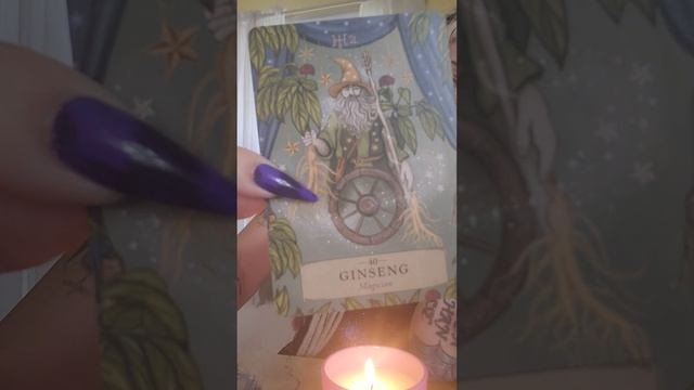 eclipse collective guidance and smudge my newest deck, the herbal astrology oracle ! смотреть онлайн