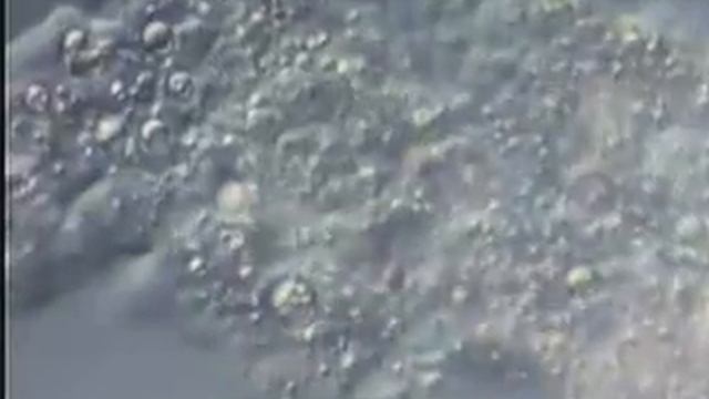 video CCC Plasma Membrane 14min смотреть онлайн