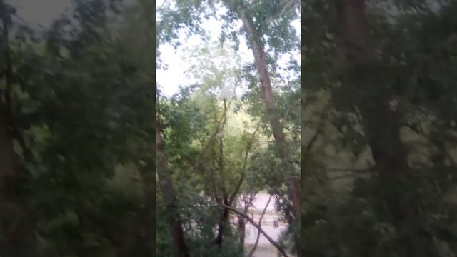 Саратов, 25 квартал смотреть онлайн