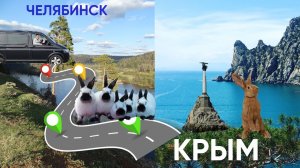 Кролики фермерам