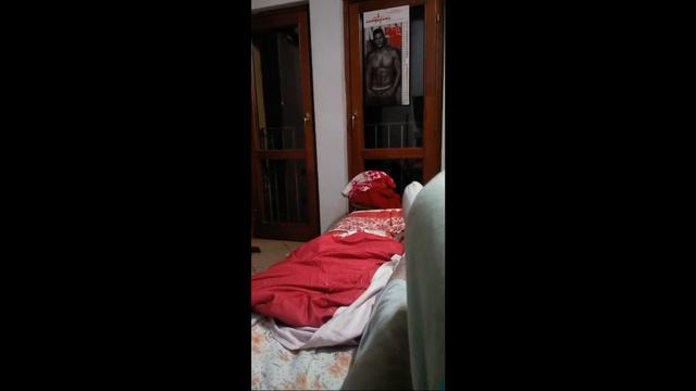 buonasera a tutti e buona vigilia di buon anno смотреть онлайн
