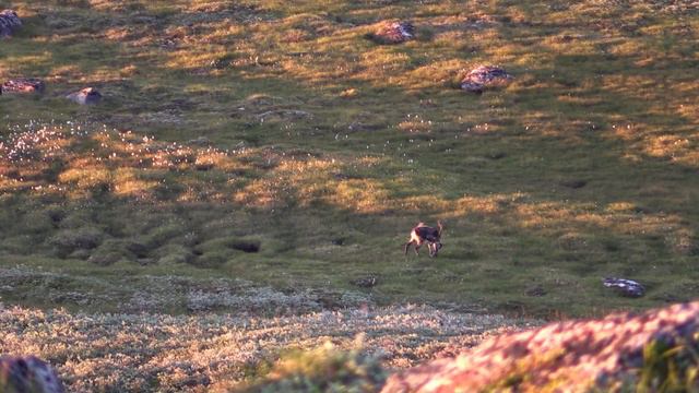 Охотминимум - 2 часть