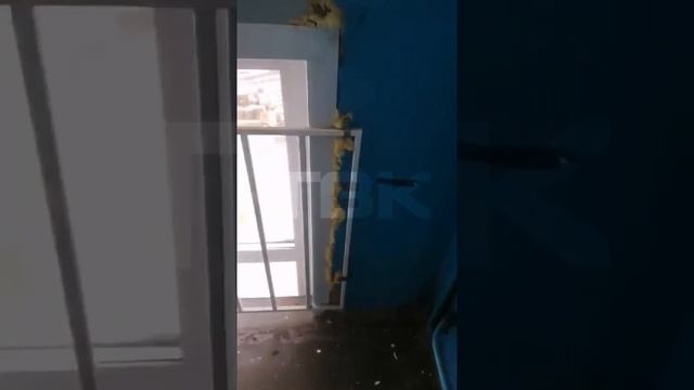 Такой подъезд: ни уборки, ни ремонта смотреть онлайн