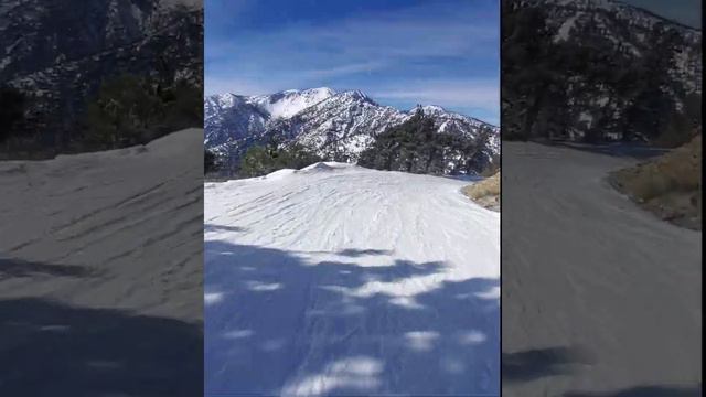 Горные лыжи в Калифорнии🏔🎿 смотреть онлайн