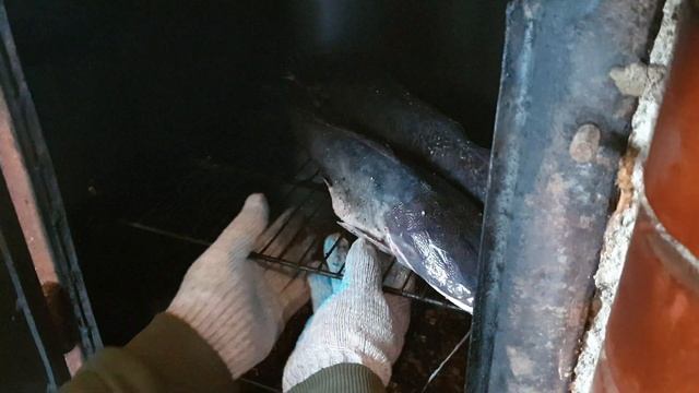 РЫБА ГОРЯЧЕГО КОПЧЕНИЯ | КОПЧЕНЫЙ АФРИКАНСКИЙ СОМ | ПРОСТОЕ КОПЧЕНИЕ РЫБЫ | КАК ВКУСНО КОПТИТЬ РЫБУ смотреть онлайн