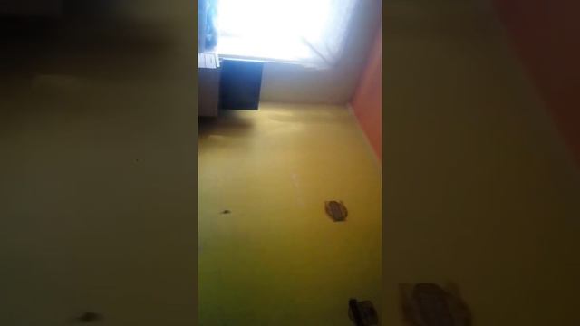 Да я уже писал выше чем в прошлом году мы не сможем сделать в виде таблицы создавайте новогоднийбще смотреть онлайн