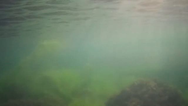 Подводный Крым. Алчак/Судак. Романтика по-крымски #8/ Crimea under water. Romance in Crimean Part смотреть онлайн