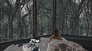 Звук падающего дождя успокаивает разум и помогает быстро заснуть, сильный дождь/Оставьте свои заботы