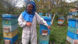Двухматочное содержание пчелосемей.  300 семей.  Васькун Владимир