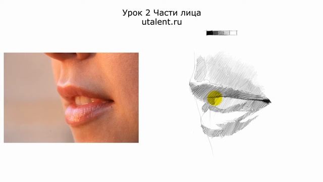 Как нарисовать губы смотреть онлайн
