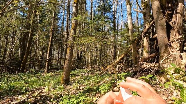 Лес 43 Крево Запад-1. Траншея Т22 Б. 1 мая 2023 года смотреть онлайн