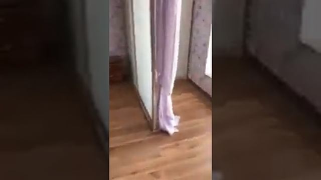 2-ком Новороссийская 265 смотреть онлайн