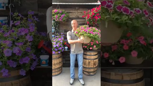 How to Water Correctly - Forget What You Know - Learn The Professional Way смотреть онлайн