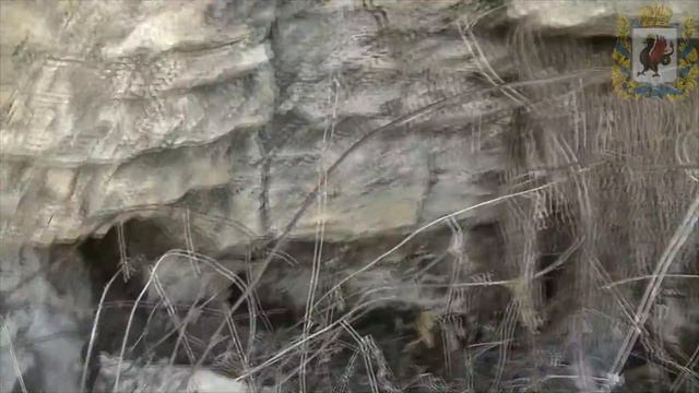 Паспорт 1912 года и попытка копа смотреть онлайн