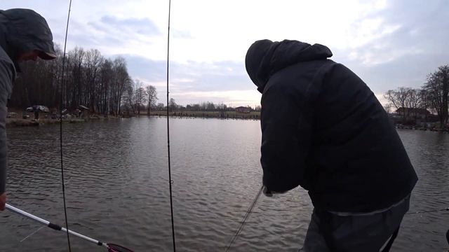 ФОРЕЛЬ ЛЮБИТ ЭТУ ПРИМАНКУ. Ловля форели осенью. Рыбалка в Тихой Заводи. смотреть онлайн