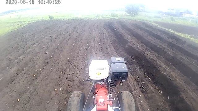 Посадка картошки волной ) Мотоблоком брайт ) смотреть онлайн