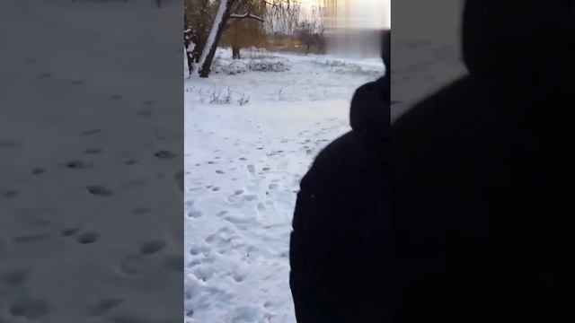 Топ нарезка самых красивых моментов!) смотреть онлайн