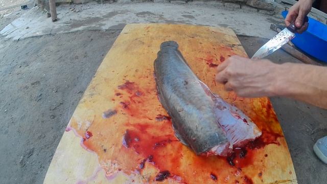 Uzbekistan How to properly clean catfish at home-Как правильно почистить сома в домашних условиях