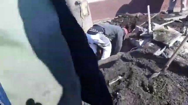 Вырвал дерево смотреть онлайн