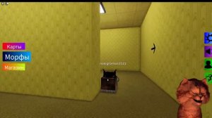 НАШЛИ ВСЕ МОРФЫ ?В РОБЛОКС СИМУЛЯТОР КОТЁНОК ГЕЙМЕР backrooms map Find The Floppa Morphs