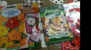 САМЫЕ КРАСИВЫЕ ЦВЕТЫ БЕЗ РАССАДЫ,ДЛЯ ЛЕНИВЫХ))какие цветы посеять семенами прямо на клумбу