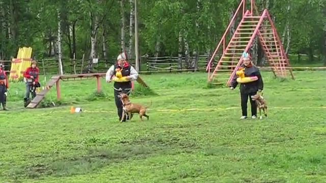 Показательные выступления. смотреть онлайн