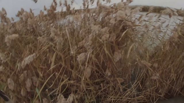 классная двух часовая охота на утку смотреть онлайн