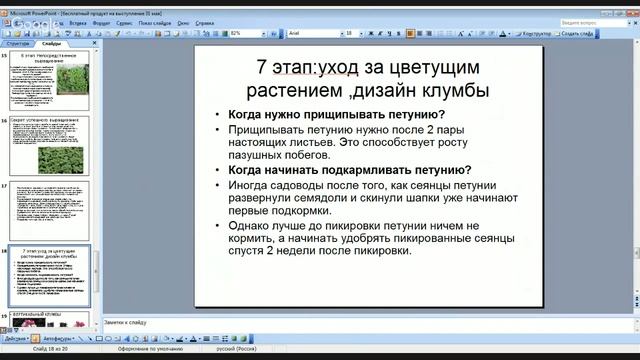 «Дачные секреты» Ирен Садриева,петуньи смотреть онлайн