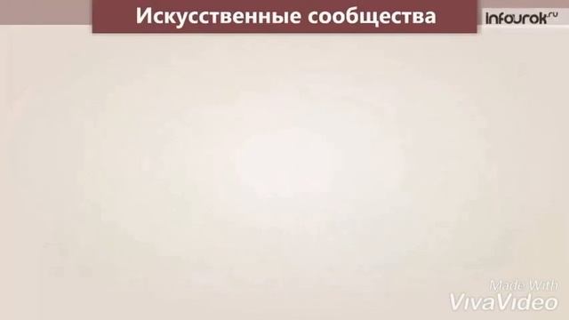 Видеоуроки на тему жизнь луга смотреть онлайн