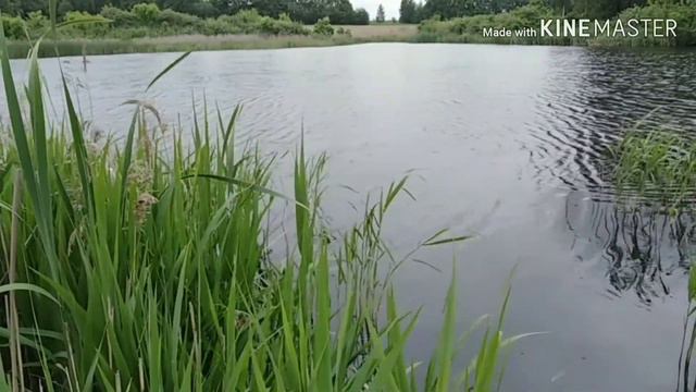 Рыбалка весной. Ловля рыбы на поплавок. Есть улов смотреть онлайн