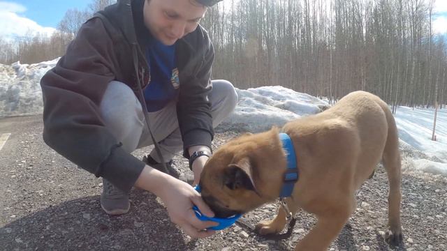 Бу едет домой!