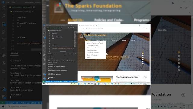 Web Automation Using Python Selenium смотреть онлайн