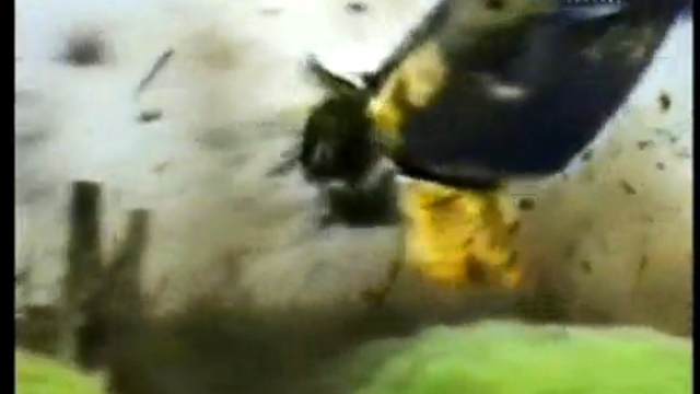 Молниеносные катастрофы # 24 смотреть онлайн