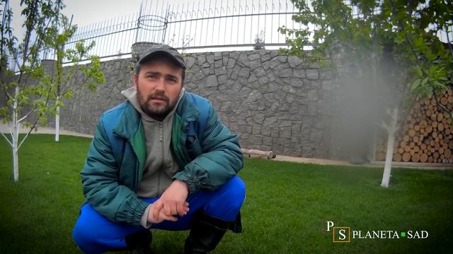 Правильный полив газона смотреть онлайн