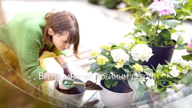 Лето. Душевное видео для тех, кто любит жизнь и лучшие ее проявления. Музыка Сергея Чекалина смотреть онлайн