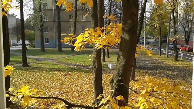 Золотая осень за моим окном смотреть онлайн