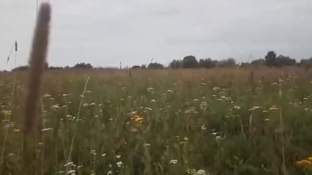 ГОНЧАР зажигает огонь намерения. смотреть онлайн