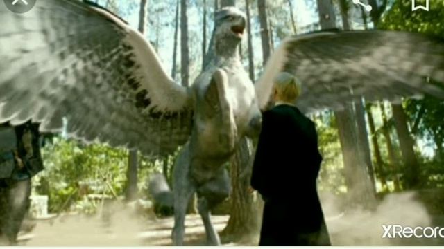 Обзор трёх питомцев Хагрида смотреть онлайн