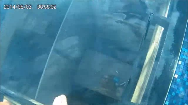 Ялта Интурист Воронцовские бани Коляндра парится в сауне с прозрачным потолком смотреть онлайн