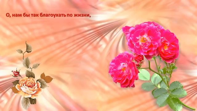 Роза чайная в исполнении Кай Метова смотреть онлайн