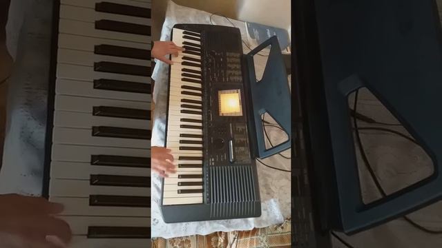 Доля Воравскаяа YAMAHA-PSR530 смотреть онлайн
