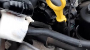 Шкода октавия/scoda octavia 1.8, 2017 год, где находится вин\vin номер и номер двигателя