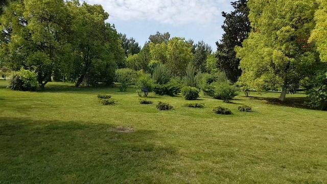 Уголок ботанического сада | Жизнь на Юге смотреть онлайн